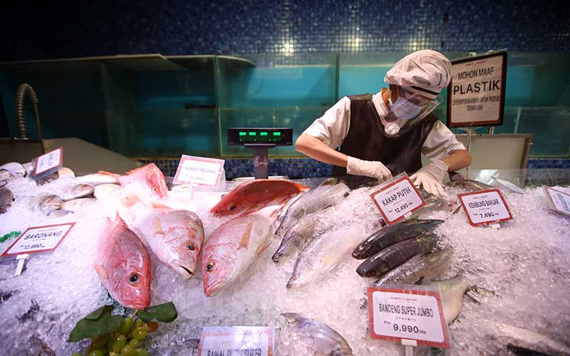 Ditemukan Patogen Corona di Produk Ikan Ekspor Indonesia 