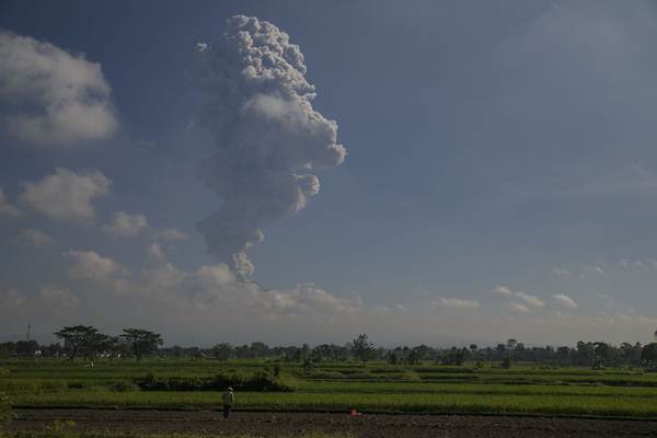 Ratusan Hektare Sawah di Wilayah Ini Bakal Tergusur Tol Jogja-Solo