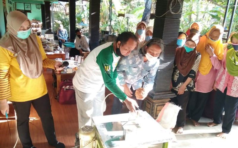 UPNVY Bikin Demplot Porang di Lahan Calon Kampus di Gunungkidul