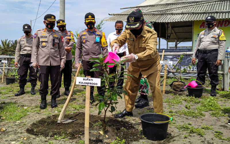 Tingkatkan Ketahanan Pangan, Polda DIY Salurkan 1.200 Bibit Pohon Cengkeh di Kulonprogo