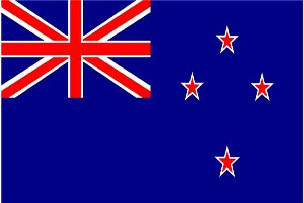 Progresif! PM Selandia Baru Pilih Gay Wakil Perdana Menteri