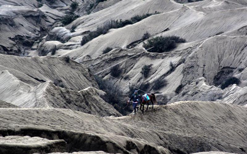 Kabar Gembira, Kuota Wisatawan ke Gunung Bromo Ditambah