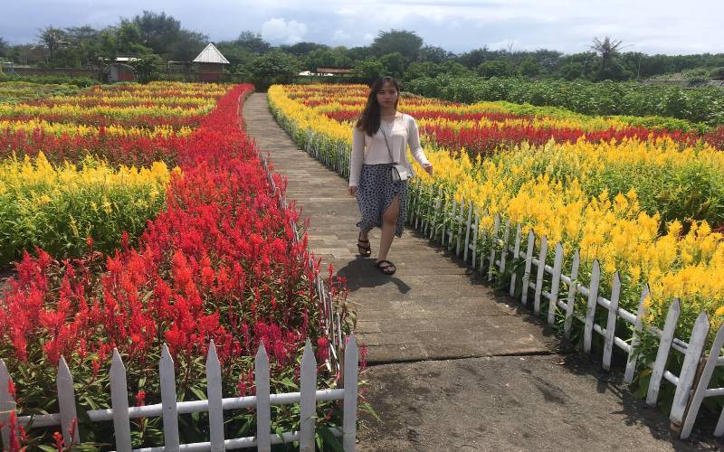 KABAR WISATA: Romantic Garden, Wisata Instagramable di Kawasan JJLS