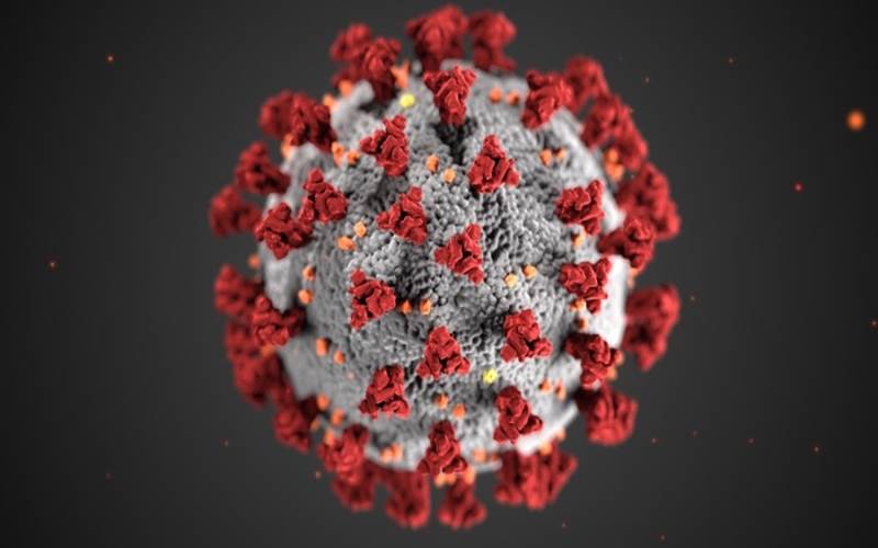 Aplikasi Ini Bisa Memprediksi Skenario Penyebaran Virus Corona