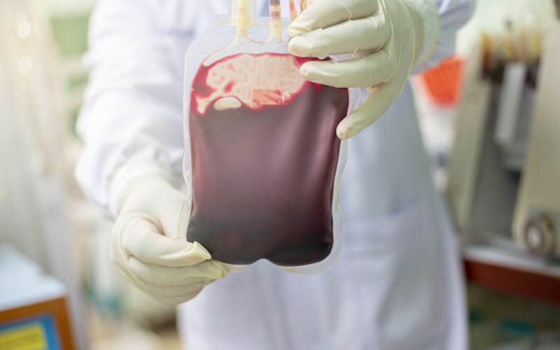 Informasi Stok Darah PMI di DIY Senin 14 Desember 2020
