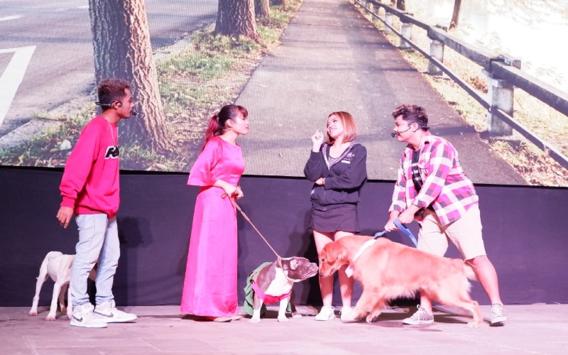 Lucunya Atraksi Anjing Memainkan Drama Musikal di Sleman City Hall
