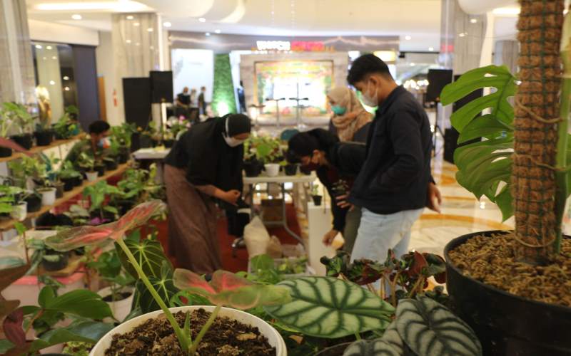 Terapkan Protokol Kesehatan, Malioboro Mall Suguhkan Pameran Tanaman Hias di Atrium