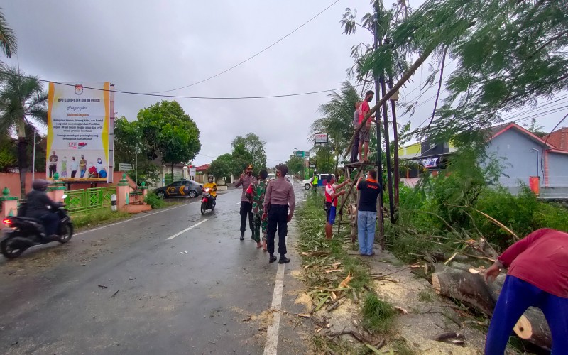 Sehari, Longsor & Puluhan Pohon Tumbang Terjadi di Kulonprogo