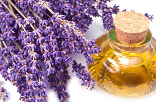 5 Khasiat Minyak Lavender Bagi Kesehatan, Salah Satunya Mengurangi Sakit Kepala