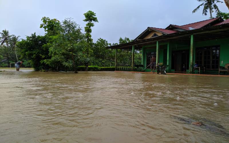 Hujan Semalam Suntuk, Puluhan Rumah dan Ratusan Hektare Lahan Pertanian di Kulonprogo Kebanjiran