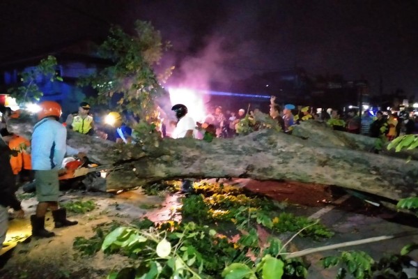 Pantai Gunungkidul Diterjang Angin Kencang, 4 Warung Rusak Tertimpa Pohon