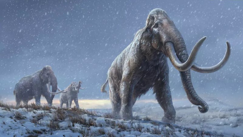 DNA Tertua di Dunia adalah Mammoth Berusia Lebih dari 1 Juta Tahun