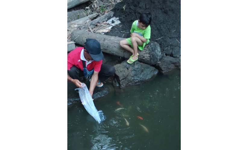 Berniat Konservasi, Petani Ikan di Cangkringan Ini Tebar Koi ke Sungai