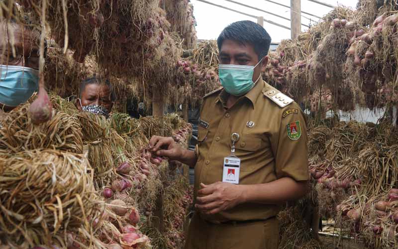 Panen Raya Bawang Merah di Magelang Hasilkan 21 Ton Per Hektare