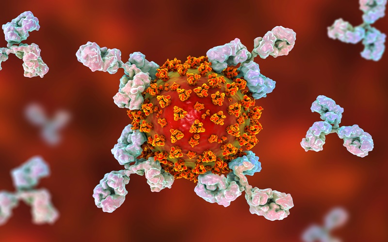 Hasil Penelitian Terbaru, Antibodi Penyintas Covid-19 Bisa Bertahan Hingga 9 Bulan