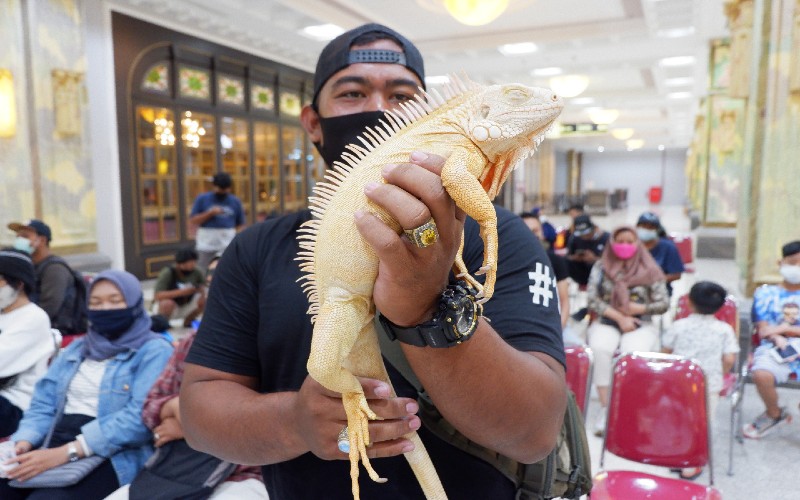Sulap Mall menjadi Zoo, Sleman City Hall hadirkan Animal Kingdom #2