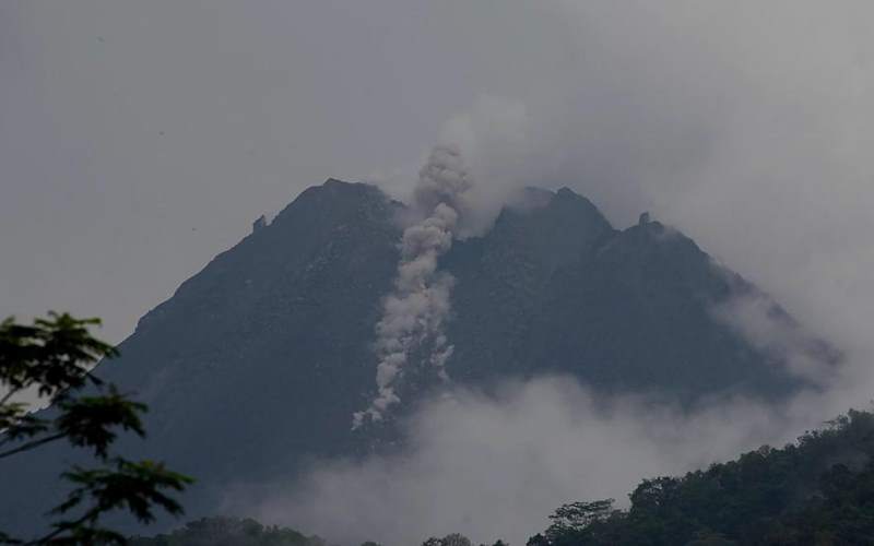  Wedus Gembel Meluncur hingga 1,5 Kilometer di Barat Merapi