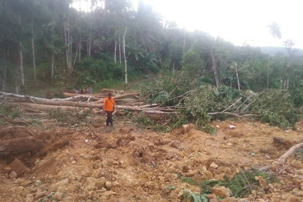 Tertimbun Tanah Longsor di Flores, Ratusan Korban Belum Ditemukan