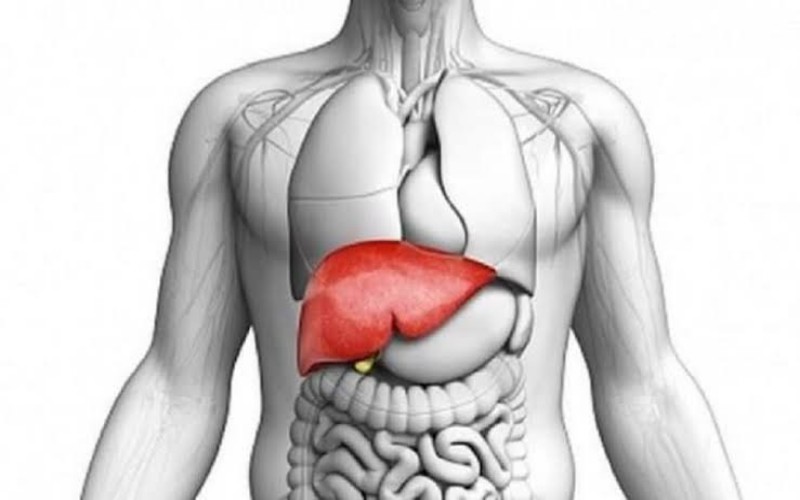 Beware!  These 3 Symptoms Of Fatty Liver That Are Often Ignored