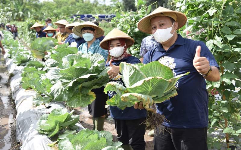 Pemkab Sleman Bertekad Cetak 1.000 Petani Milenial
