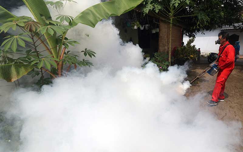 Chikungunya di Bantul Meluas, Setelah Wonokromo Kini Kalurahan Pleret Diserang