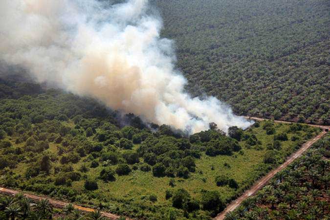 Studi: Asap Kebakaran Hutan Berdampak Buruk untuk Kulit