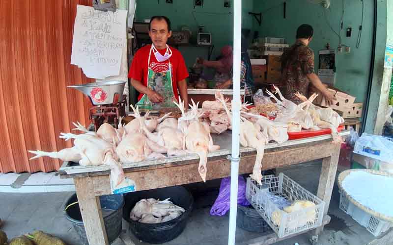 Alhamdulillah, Lebaran Ini Pedagang Daging Ayam Banjir Untung