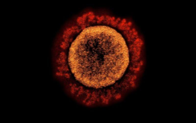 Mutasi Baru Virus Corona Ditemukan di Jatim