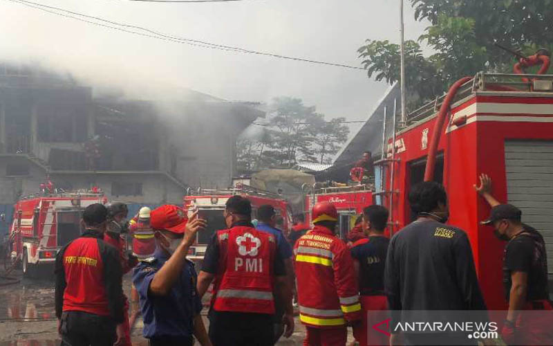 Pabrik Kayu di Temanggung Terbakar, Belasan Mobil Damkar Diterjunkan Padamkan Api
