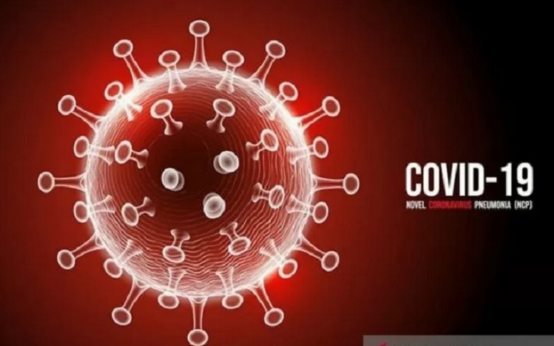 Daftar Nama Baru Virus Corona, Simak Yuk Biar Tidak Bingung