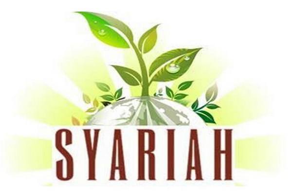 Ini Penyebab Keuangan Syariah Indonesia Berkembang Pelan