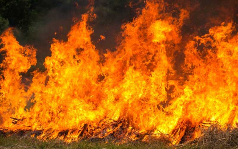 Bara Api Belum Padam, Pabrik Peyek di Imogiri Bantul Terbakar
