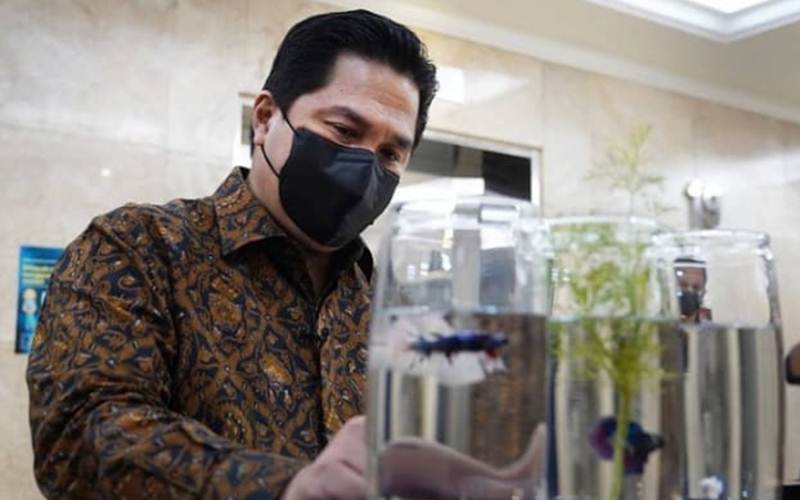 Kementerian BUMN Di-lockdown karena Kasus Covid-19 Naik