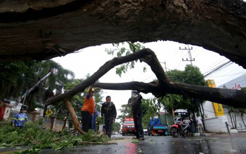 Terjadi Anomali Cuaca, Waspadai Longsor & Pohon Tumbang
