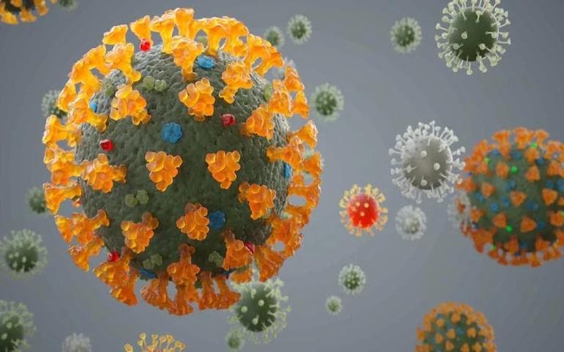 Simak Penjelasan Kenapa Virus Corona Bisa Menyebar Begitu Cepat