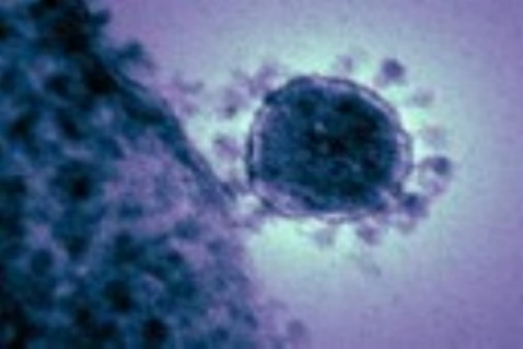 33 15,000-Year-Old Virus Found in Tibet