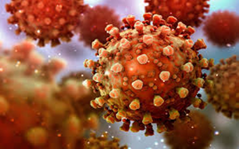 Mengenal Virus Corona Varian Lambda, Karakter & Bahayanya