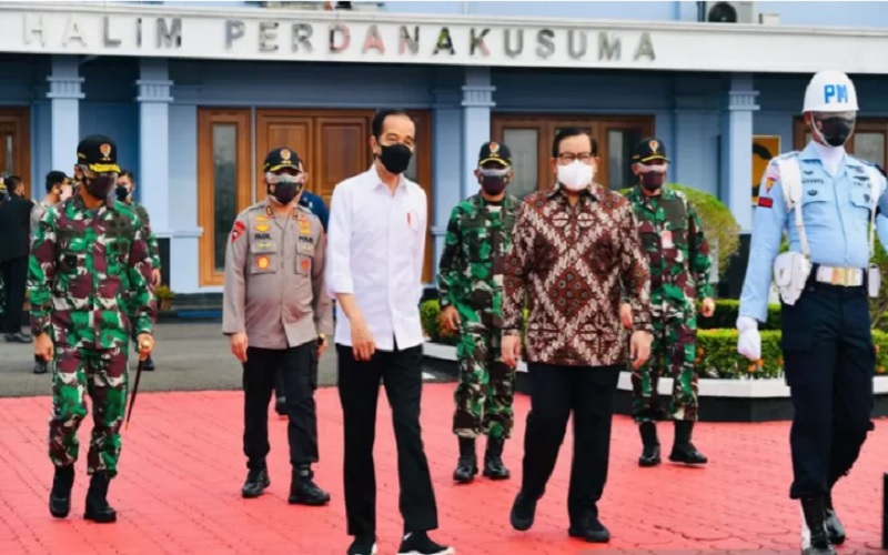 Rendah Kalori, Jokowi Sebut Porang Makanan Pokok Masa Depan