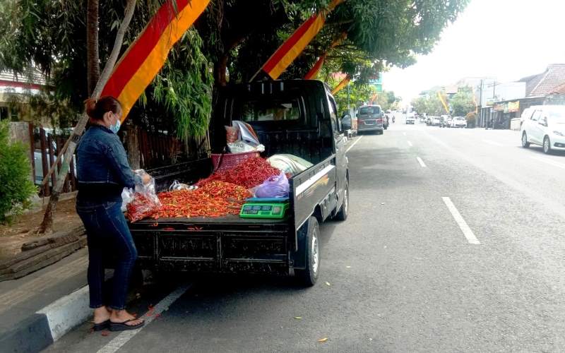 Anjlok, Awalnya Rp120.000 per Kg, Cabai Rawit Kini Dijual Rp12.000 di Gunungkidul