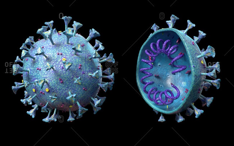 Peneliti Berhasil Temukan Cara Virus Corona Masuk ke Tubuh Manusia