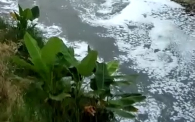 Air Berbuih di Bantaran Sungai Gajahwong Cemari Lingkungan Giwangan