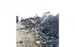 Mengenal Smart Rubbish Bin, Tempat Pemilah Sampah Otomatis Buatan Mahasiswa UII