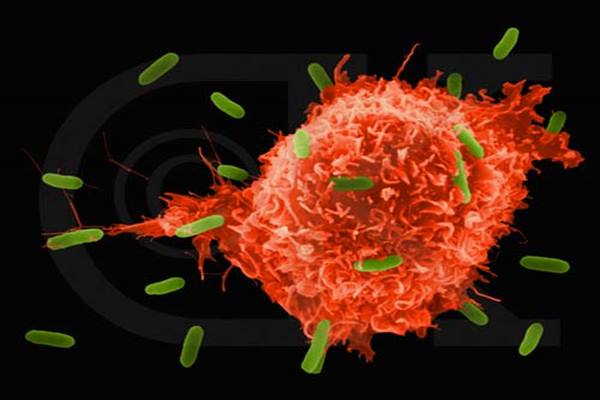 Ilmuwan Temukan ‘Antibodi Super’ terhadap Covid-19 