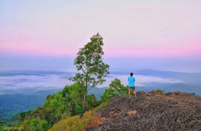 Sekda DIY: Tidak Boleh Membangun Pabrik di Kawasan Geoheritage