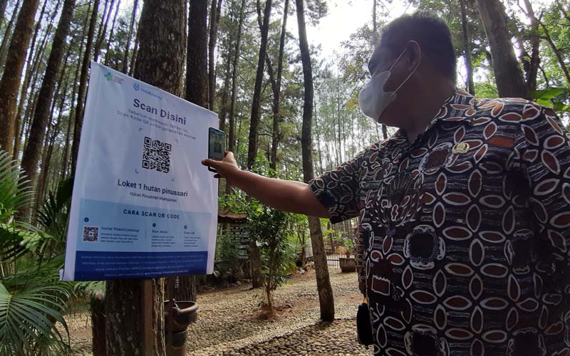 Jaringan Internet Tak Stabil, Hutan Pinus Akan Dipasang Perangkat Penguat Sinyal