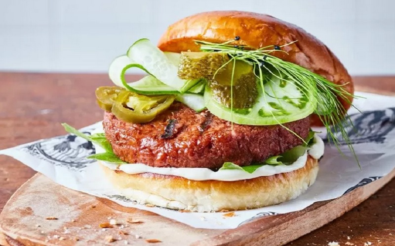 Meski Mengandung Daging dan Sayur, Ini Penyebab Burger Disebut Junk Food