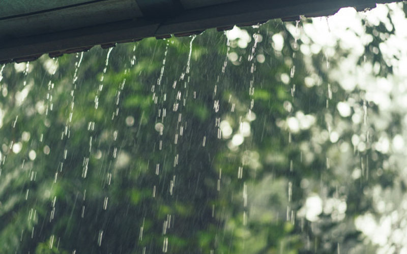Hujan Angin, Talut di Wirokerten Bantul Longsor Rusak Rumah Warga