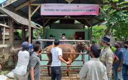 JELAJAH MAGELANG: Sekolah Tani Milenial, Inovasi Pembelajaran Praktis Pertanian Modern