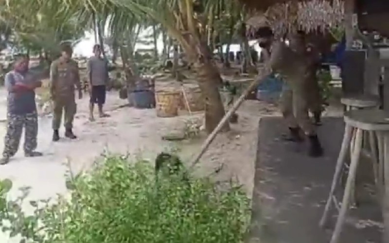 Viral Anjing Mati Usai Ditangkap Satpol PP di Aceh