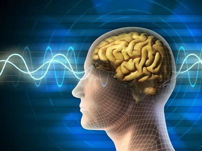 Ukuran Otak Manusia Modern Semakin Kecil, Kenali Penyebabnya..